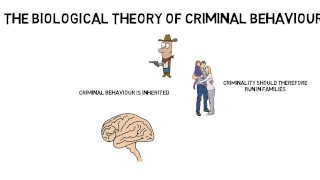 GCSE Psychology: Criminal behaviour: Biological theory