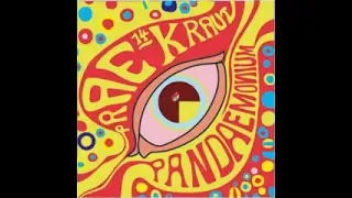 Various ‎– Prae-Kraut Pandaemonium Vol 14 German Mid-60s Garage Rock Beat Psych Music Compilation LP