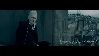 Gellert Grindelwald || Natural (Tribute)