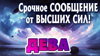 ДЕВА 🧚‍♂️🧚‍♂️🧚‍♂️СРОЧНОЕ СООБЩЕНИЕ от ВЫСШИХ СИЛ Таро Прогноз гадание онлайн