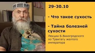 Б.Виногродский: лекция «Тайна болезней сухости» | Китайская традиционная медицина