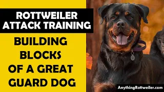 How to Teach Your Rottweiler How to Attack: Building Blocks of a Great Guard Dog