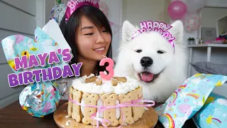 My Dog's EXCITING Third Birthday!!! [With DIY Dog Birthday Cake Recipe]