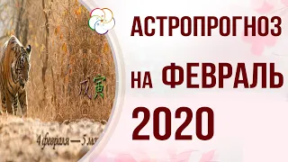 БАЦЗЫ 2020: АСТРОПРОГНОЗ на Февраль 2020 года. Месяц Земляного Тигра 戊寅4 февраля — 5 марта