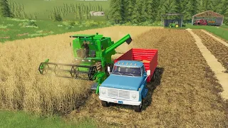 Harvesting wheat and cutting hay using old tractors | Farming simulator 19 | Back in my day