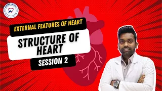 Structure of heart |Session 2 |  External features of heart | By Sirisetti Prasad Sir | RNI