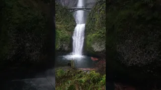 Deep waterfall for sleep and relaxation. #shorts #shortvideo #sleep #share