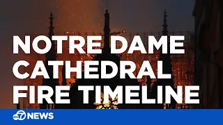 Notre Dame Cathedral fire captured in social media videos