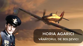 Aviatorii români. Eroii uitați ai aerului - Horia Agarici