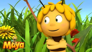 The Bee Dance - Part 3 - Maya the Bee 🦋🐝