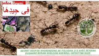 Secret Soufou khorondong Ak fidjidiha 313 Avec Seydina Ousmane Boram Khelcom Kheweul 2 juillet 2023