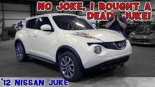 DOA!  Why did the CAR WIZARD purchase a dead '12 Nissan Juke? Can it be fixed? Missus NOT impressed!