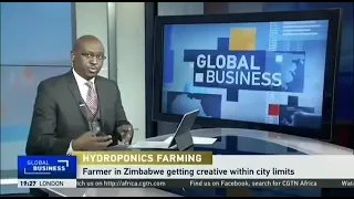 Farmer in Zimbabwe getting creative within city limits