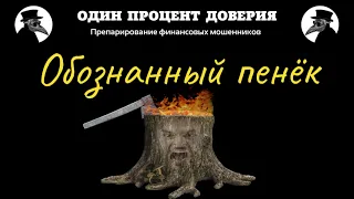 Обознанный пенёк, или Интересное эхо