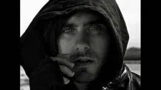 JARED LETO IS THE BEST