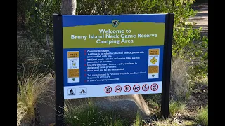 Campground The Neck Bruny Island, free camping Bruny Island Tassie