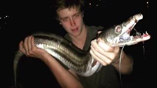 EP 2 - MONSTER EEL FISHING - Catch n Cook - Using Freshly Caught MULLET! | TDK