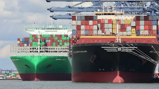 One of the worlds largest container ships, Ever Alp departing Felixstowe on 26/4/2024. #shipping