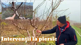 Tăierea la piersic - prin reducție