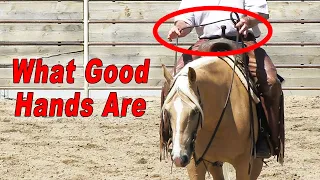 What Good Hands Are and What They Are Not - Horse Training Basics For Performance Horse Riders