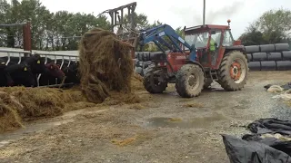 New Holland 110-90 Fiat-Agri Feeding Cattle+Raw Sound