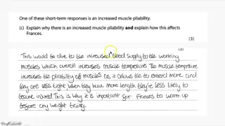 Responses to the muscular system revision