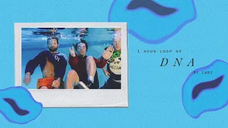 (1hour loop) DNA - Lany