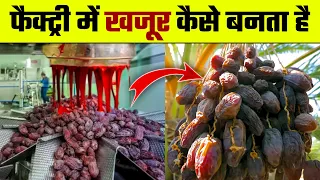 फैक्ट्री में खजूर कैसे बनता है | Khajur Kaise Banta hai | How Dates are Made in Factory | Dates