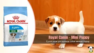 Сухой корм для щенков собак мелких пород от 2 до 10 месяцев · Royal Canin Mini Puppy