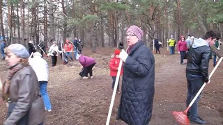 Москва. Жулебино. "Благоустройство" леса