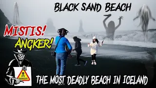 BLACK SAND BEACH VIK & REYNISFJARA | THE MOST DANGEROUS BEACH IN ICELAND