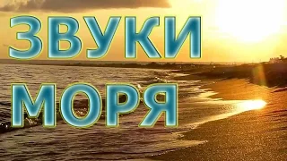 Успокаивающий шум морских волн и крик чаек