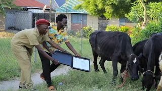 HAYA GUSA TUZO TUISHANE UTACHEKA NDARO NA STEVE