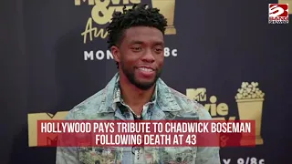 Hollywood pays tribute to Chadwick Boseman following death at 43