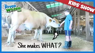 HAPPY COWS MAKE THE BEST CHOCOLATE ICE CREAM - KIDS SHOW