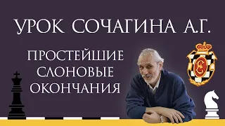 Видеоурок А.Г. Сочагина. Простейшие слоновые окончания