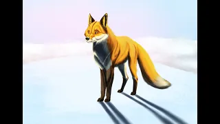 Drawing a Fox