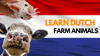 Learn Dutch Words - Farm Animals