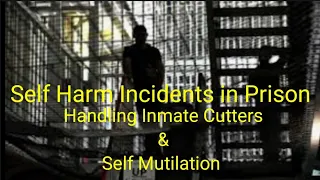 Handling Self-Harm Incidents in Jails & Prisons