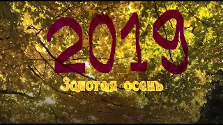 Осенний утренник ноябрь 2019, 10 группа, сад 58, г  Воронеж