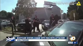 Video shows officers confronting machete-wielding man