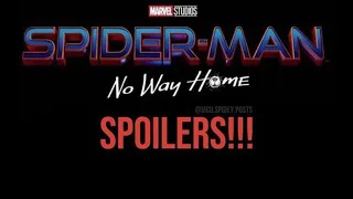 {SPOILER} SPIDERMAN NO WAY HOME AUDIENCE REACTION TO THE OTHER SPIDERS!!