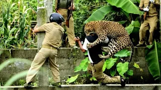 Unbelievable Animal Encounters Caught on Camera to Make You Crazy | Best of Series