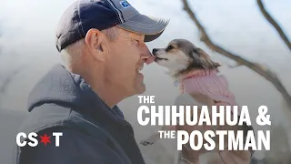 TikTok famous dog and postman make unlikely pair in Chicago suburbs