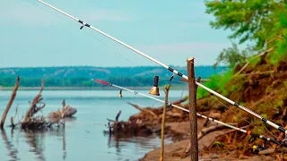 ДОЖДАЛСЯ! Нашёл свое счастье ,ОН ПРИШЁЛ! Мой личный рекорд на закидушки! Рыбалка с ночёвкой .