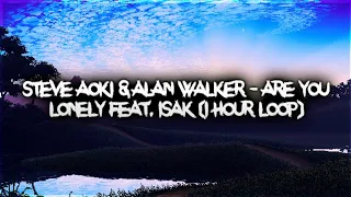 Steve Aoki & Alan Walker - Are You Lonely feat. ISAK (1 hour)