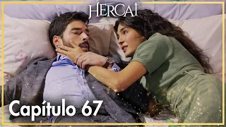 Hercai - Capítulo 67