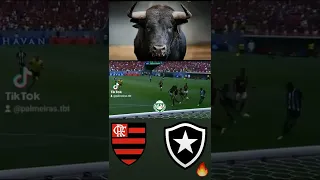Flamengo x Botafogo ! | El toro