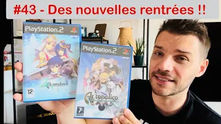 #43, les derniers achats jeux vidéos ! Pépites cachées, hidden gems