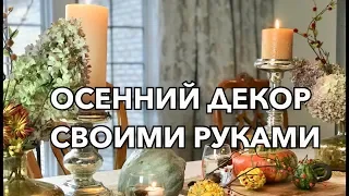 УКРАШАЕМ ДОМ НА ОСЕНЬ. ПРОГУЛКА ПО МАГАЗИНАМ. ИНТЕЬЕРЫ В АМЕРИКЕ.  WINDOW SHOPPING, FALL DECOR.